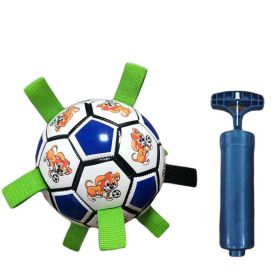 Pet Interactive Stretch Soccer - Blue and white