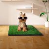 Artificial Dog Grass Mat, Indoor Potty Training, Pee Pad for Pet  XH - 20" X 25" (51X64CM)