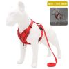 dog harness with 1.5m leash - Gray - L