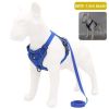 dog harness with 1.5m leash - Gray - L