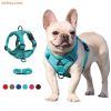 dog harness with 1.5m leash - Gray - L