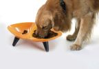 Melamine Couture Sculpture Double Food and Water Dog Bowl - S3ORDBP