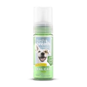 FB D FOAM FRSH MNT 4.5OZ