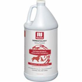 NOOTIE DC ANTIMCRBL SHMPO 1GAL
