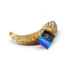ICLND D LMB HORN MRW DSP 36PC
