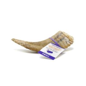 ICELANDIC DOG LAMB HORN WITH MARROW BULK 72 COUNT