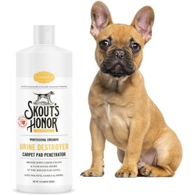 SKOUT D DSTRYR URINE CRPT 32OZ