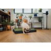 Pawzi Pet Potty Patio