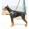 PETKIT Air Fly Dog Harness