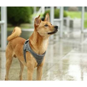 PETKIT Air Pro Dog Harness