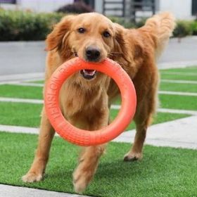 Dog Ring Toy (Country of Manufacture: United States)