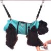 Grooming Nail Trim Sling Hammocks