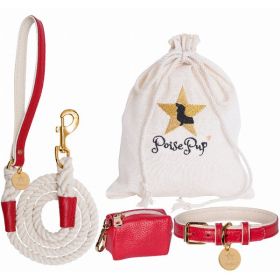 Dog Collar (Color: Red, Material: Leather, Country of Manufacture: United States)