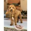 Dog Collar