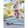 Dog Collar
