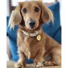 Dog Collar