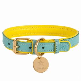 Dog Collar (Color: Blue, Material: Leather, Country of Manufacture: United States)