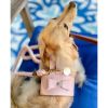 Dog Harness