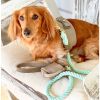Dog Harness