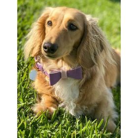 Dog Collar (Color: Lilac, Material: Leather, Country of Manufacture: United States)