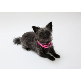 Silicone Cuttable LED Illuminated Dog Collar - USB Rechargeable (Color: Pink, Country of Manufacture: United States)