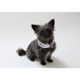 Silicone Cuttable LED Illuminated Dog Collar - USB Rechargeable (Color: White, Country of Manufacture: United States)