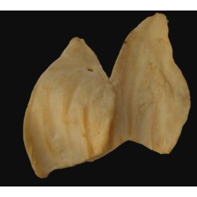 Flavored Cow Ears (Pack of 15) (Country of Manufacture: United States)